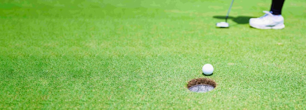 グリーン上カップイン画像